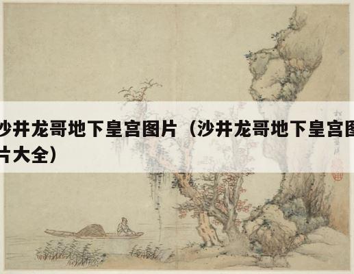 沙井龙哥地下皇宫图片（沙井龙哥地下皇宫图片大全） 第1张