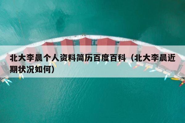 北大李晨个人资料简历百度百科（北大李晨近期状况如何） 第1张