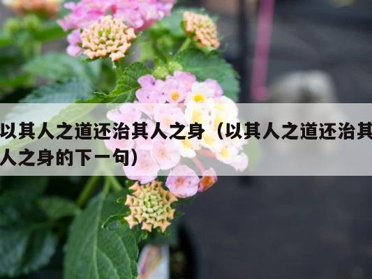 以其人之道还治其人之身（以其人之道还治其人之身的下一句） 第1张