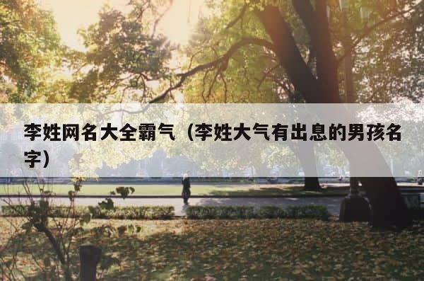 李姓网名大全霸气（李姓大气有出息的男孩名字） 第1张