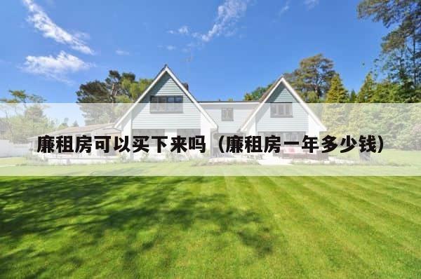 廉租房可以买下来吗（廉租房一年多少钱） 第1张