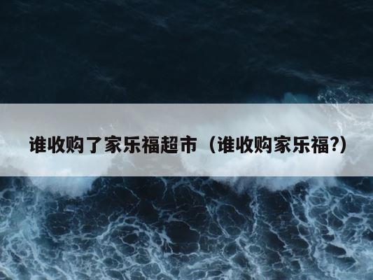 谁收购了家乐福超市（谁收购家乐福?） 第1张