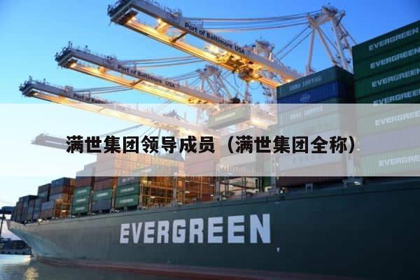 满世集团领导成员（满世集团全称） 第1张