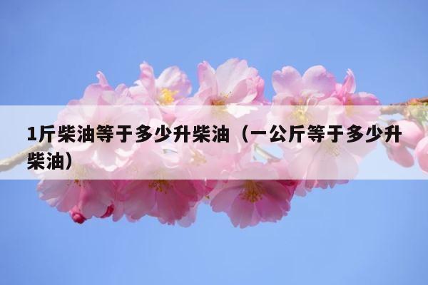 1斤柴油等于多少升柴油（一公斤等于多少升柴油） 第1张