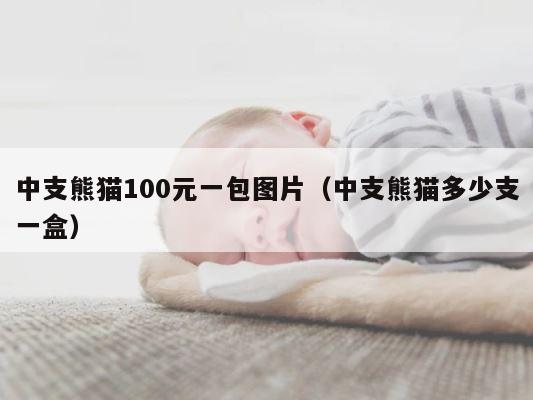 中支熊猫100元一包图片（中支熊猫多少支一盒） 第1张