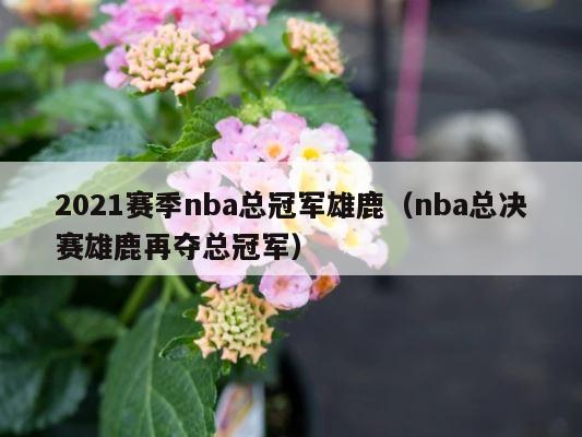 2021赛季nba总冠军雄鹿（nba总决赛雄鹿再夺总冠军） 第1张