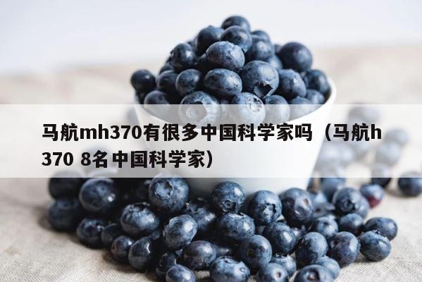 马航mh370有很多中国科学家吗（马航h370 8名中国科学家） 第1张