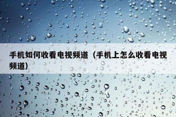 手机如何收看电视频道（手机上怎么收看电视频道） 第1张