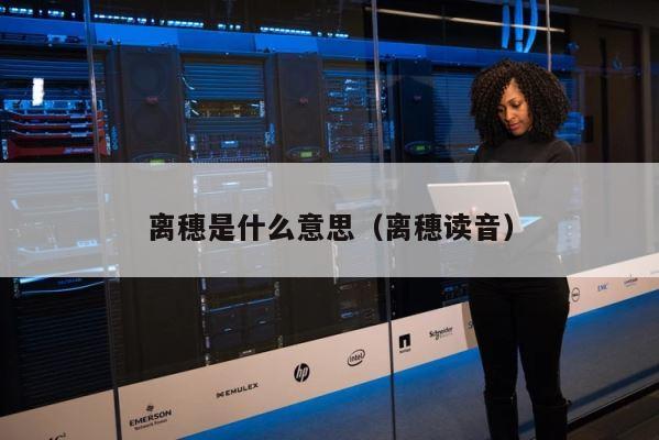 离穗是什么意思（离穗读音） 第1张