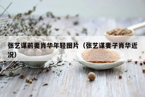 张艺谋前妻肖华年轻图片（张艺谋妻子肖华近况） 第1张