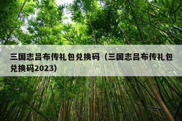 三国志吕布传礼包兑换码（三国志吕布传礼包兑换码2023） 第1张