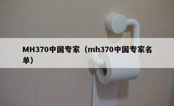 MH370中国专家（mh370中国专家名单） 第1张
