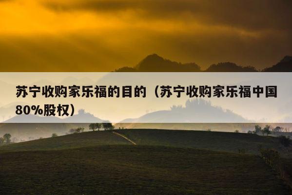苏宁收购家乐福的目的（苏宁收购家乐福中国80%股权） 第1张