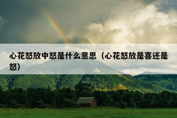 心花怒放中怒是什么意思（心花怒放是喜还是怒） 第1张