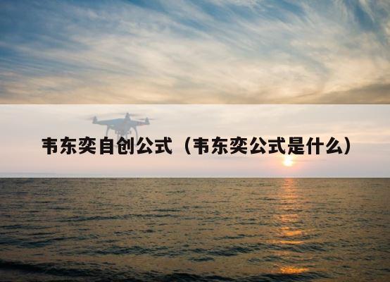 韦东奕自创公式（韦东奕公式是什么） 第1张