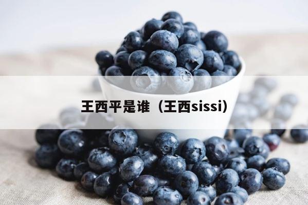 王西平是谁（王西sissi） 第1张