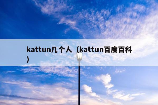 kattun几个人（kattun百度百科） 第1张