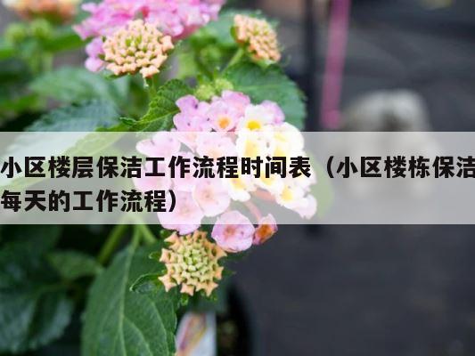 小区楼层保洁工作流程时间表（小区楼栋保洁每天的工作流程） 第1张