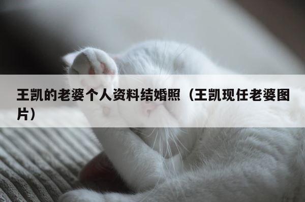 王凯的老婆个人资料结婚照（王凯现任老婆图片） 第1张