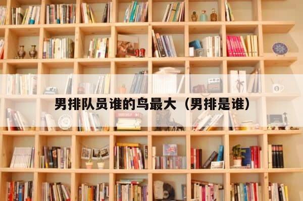男排队员谁的鸟最大（男排是谁） 第1张