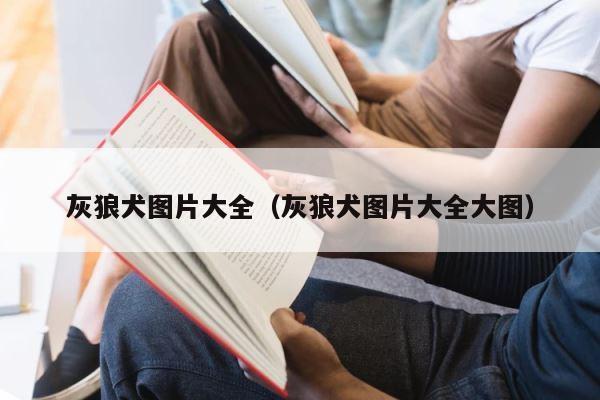 灰狼犬图片大全（灰狼犬图片大全大图） 第1张