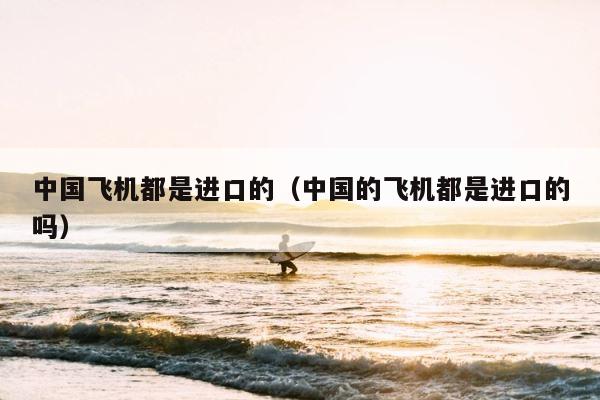 中国飞机都是进口的（中国的飞机都是进口的吗） 第1张