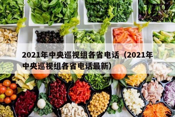 2021年中央巡视组各省电话（2021年中央巡视组各省电话最新） 第1张