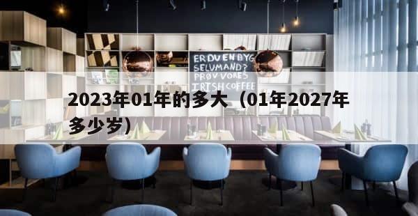 2023年01年的多大（01年2027年多少岁） 第1张