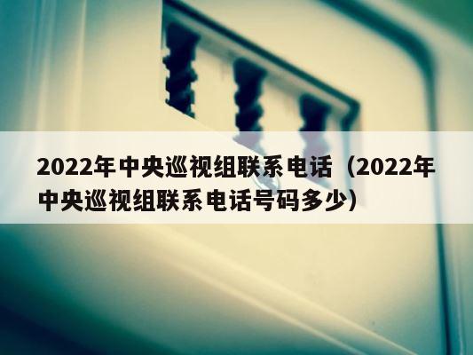 2022年中央巡视组联系电话（2022年中央巡视组联系电话号码多少） 第1张