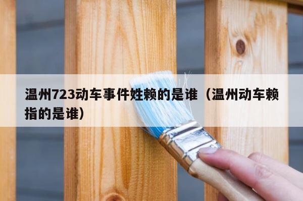 温州723动车事件姓赖的是谁（温州动车赖指的是谁） 第1张