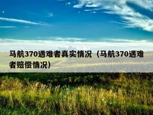 马航370遇难者真实情况（马航370遇难者赔偿情况） 第1张