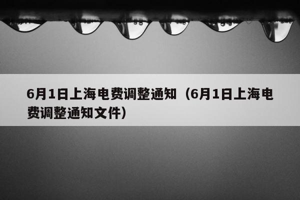 6月1日上海电费调整通知（6月1日上海电费调整通知文件） 第1张