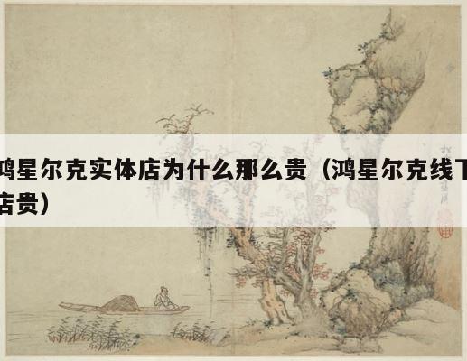 鸿星尔克实体店为什么那么贵（鸿星尔克线下店贵） 第1张