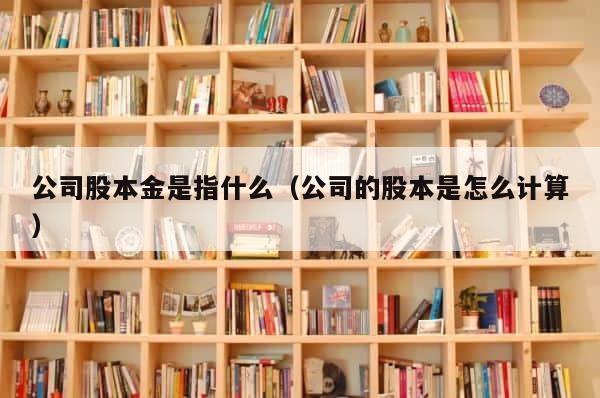 公司股本金是指什么（公司的股本是怎么计算） 第1张