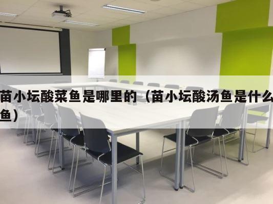 苗小坛酸菜鱼是哪里的（苗小坛酸汤鱼是什么鱼） 第1张