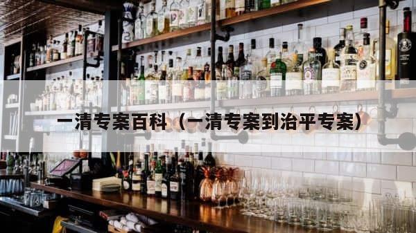 一清专案百科（一清专案到治平专案） 第1张