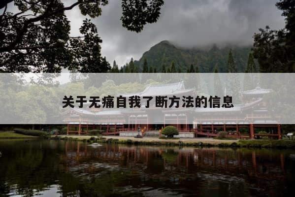 关于无痛自我了断方法的信息 第1张