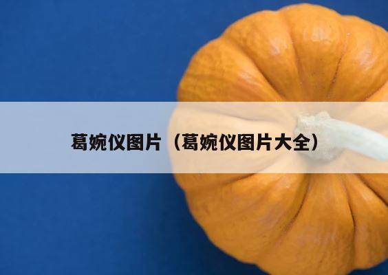 葛婉仪图片（葛婉仪图片大全） 第1张
