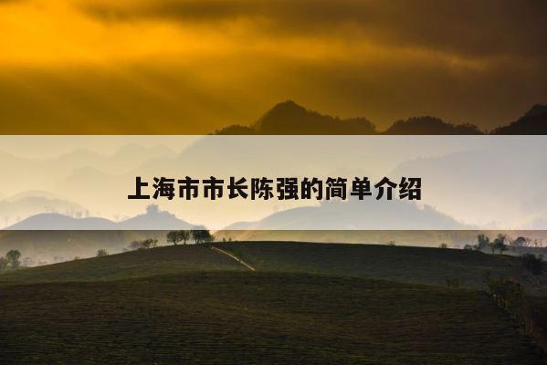上海市市长陈强的简单介绍 第1张
