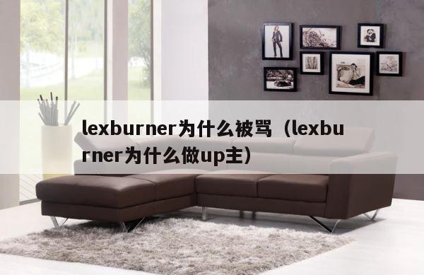 lexburner为什么被骂（lexburner为什么做up主） 第1张