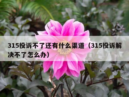 315投诉不了还有什么渠道（315投诉解决不了怎么办） 第1张