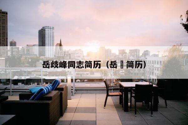 岳歧峰同志简历（岳旸简历） 第1张