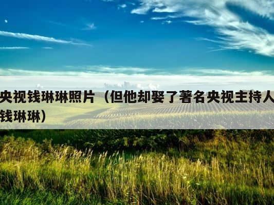 央视钱琳琳照片（但他却娶了著名央视主持人钱琳琳） 第1张