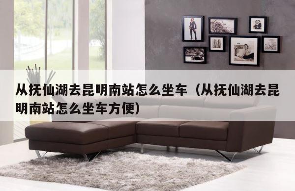 从抚仙湖去昆明南站怎么坐车（从抚仙湖去昆明南站怎么坐车方便） 第1张