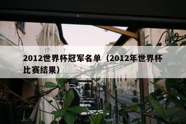 2012世界杯冠军名单（2012年世界杯比赛结果） 第1张