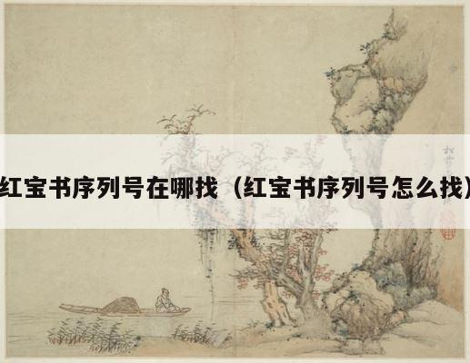红宝书序列号在哪找（红宝书序列号怎么找） 第1张