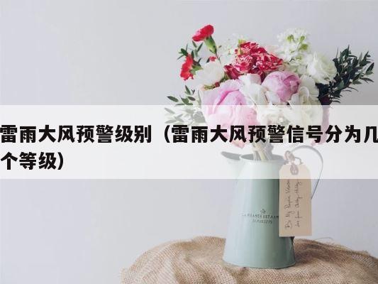 雷雨大风预警级别（雷雨大风预警信号分为几个等级） 第1张