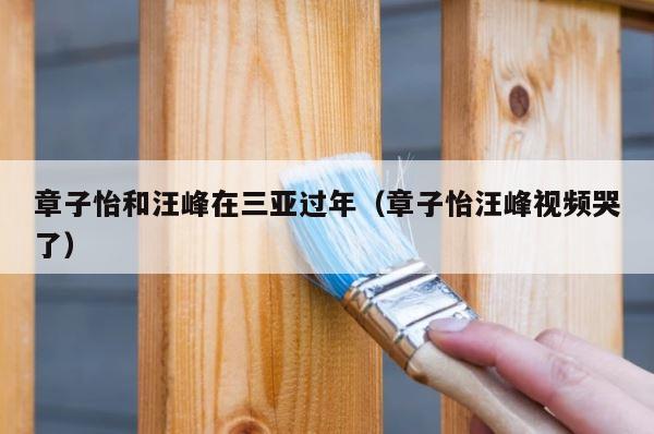 章子怡和汪峰在三亚过年（章子怡汪峰视频哭了） 第1张
