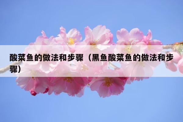 酸菜鱼的做法和步骤（黑鱼酸菜鱼的做法和步骤） 第1张