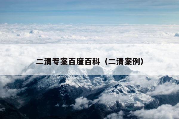 二清专案百度百科（二清案例） 第1张